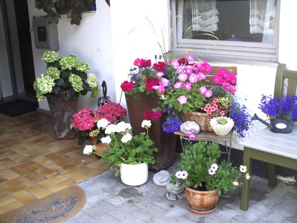 Apartment Absmeier Bad Griesbach (Bavaria)